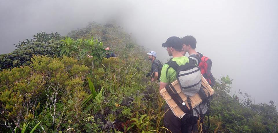 Sortie dana la brume